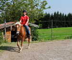 Reiten auf dem Bauernhof