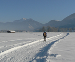 Langlaufen im Chiemgau