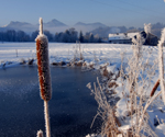 Winterwandern im Chiemgau