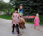 Kinder im Urlaub am Bauernhof